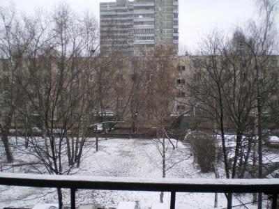 ������ ���� 2007