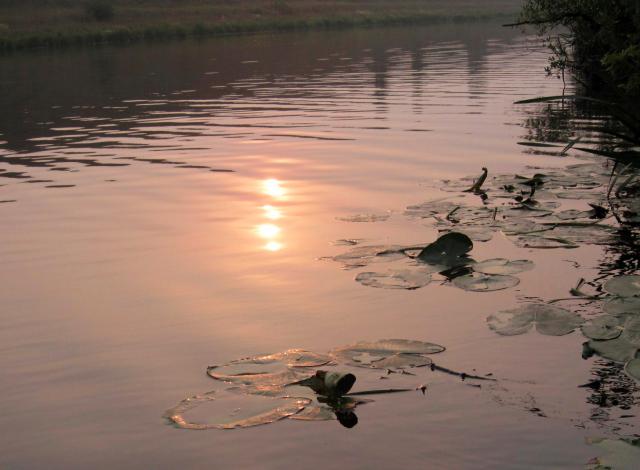 ����� ���� ������� ����